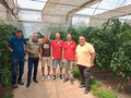 Group picture in a greenhouse.