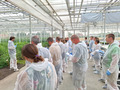 Image 1: Participants explore Viaverda’s greenhouse research facilities during the BIOGREENET field trial visit.