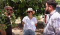 Three people talking outside under some trees.