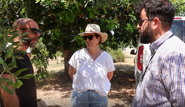 Three people talking outside under some trees.
