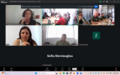 Screenshot of people in a teams meeting.