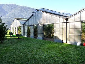 Ein Gewächshaus mit geöffneten Türen steht vor einem Hügel.