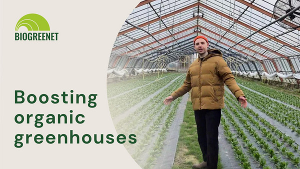 Thumbnail of the video: A young man standing in a greenhouse