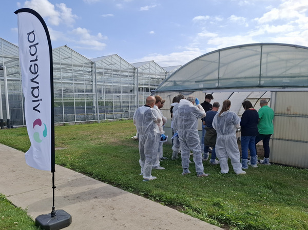 Visitors in protective suits gather outside a greenhouse tunnel during a guided tour of a greenhouse facility.